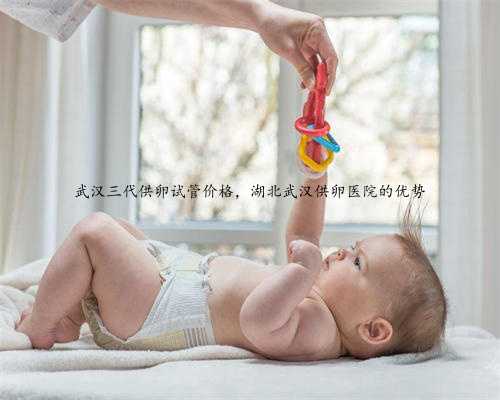 武汉三代供卵试管价格，湖北武汉供卵医院的优势