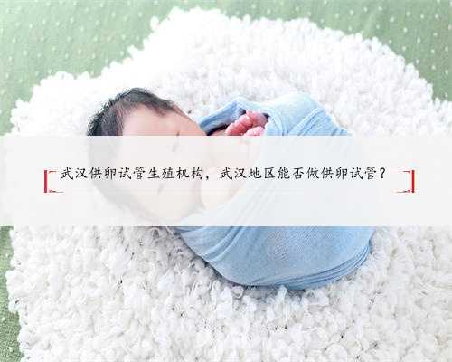 武汉供卵试管生殖机构，武汉地区能否做供卵试管？