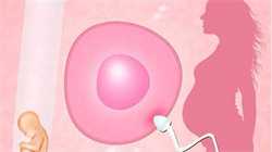 武汉代卵代怀，怀孕一个月为什么孕吐反应特别大