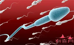 武汉3代试管供卵婴儿的步骤，怀孕初期烧心怎么办