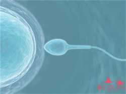 武汉私立供卵试管医院,【武汉私立医院供卵试管】末次8.6 孕72天终于有胎心胎